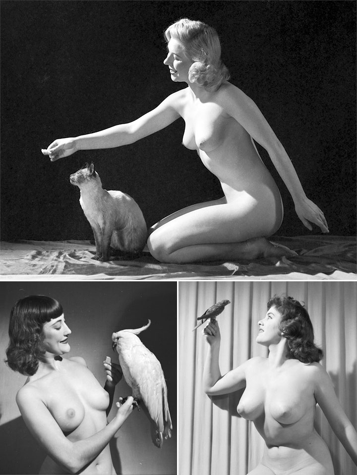 Three photographs of naked ladies with stuffed animals.