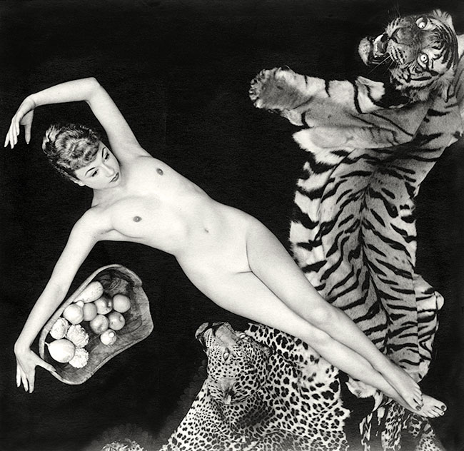 A nude Pamela Green on a tiger rug by the photographer Zoltán Glass