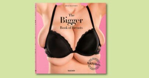 Web banner for the book The Bigger Book of Breasts